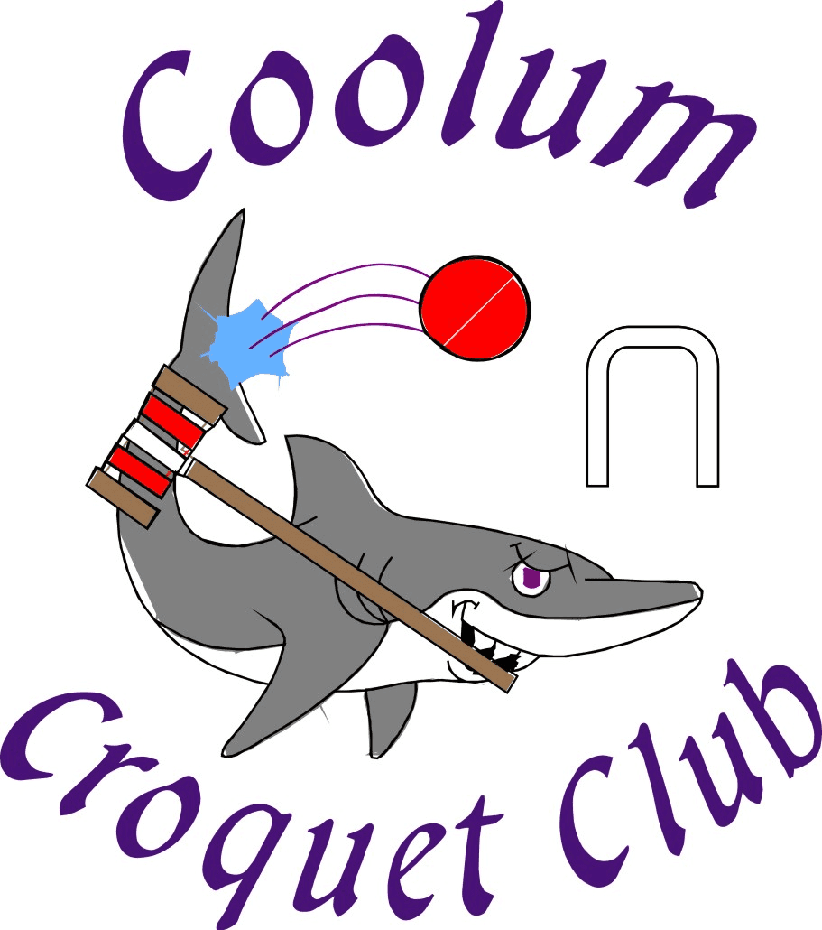 Coolum Ricochet team wins 2017 Nell Hass Shield