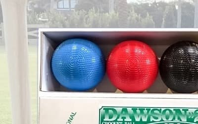 The three croquet balls: Dawson, Invictus, and Sunshiny