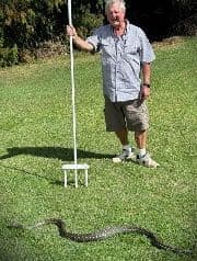 A Carpet Python in the kitchen, a Windsor mower, and Sarah Widin on the Eire Cup