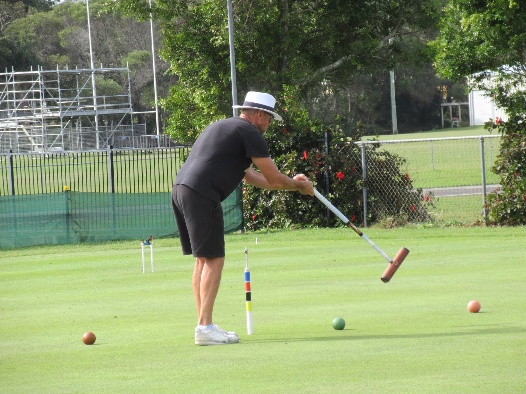 Pickleball Hard on Your Knees? Croquet Is the Low-Impact Alternative