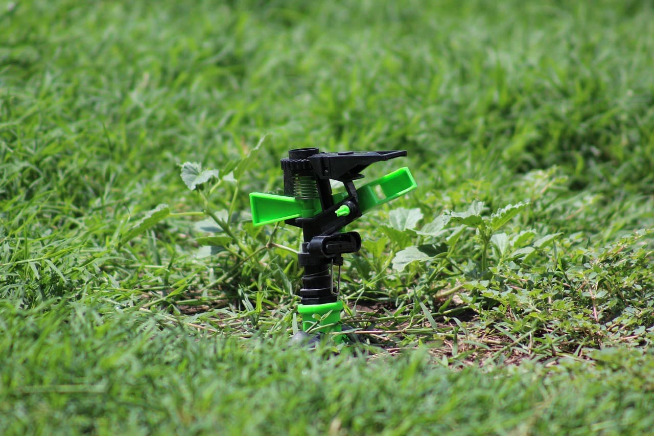 El Nino bites Queensland lawns
