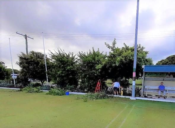 Wynnum volunteers tackle garden working bee