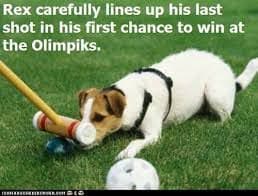 Bribie Island croquet club shares three photo posts from the lawns