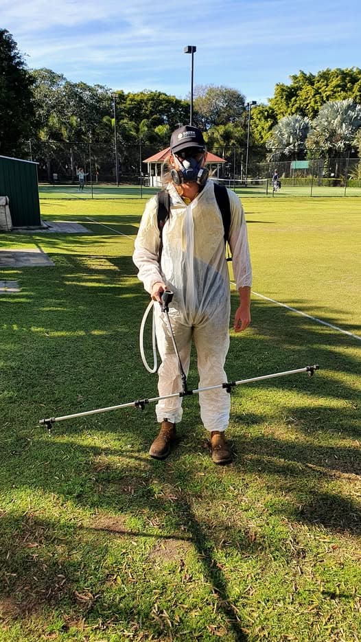 No play today as lawns treated for dollar spot