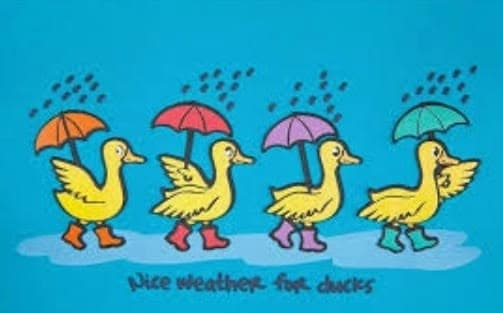 Friday night social cancelled due to wet weather