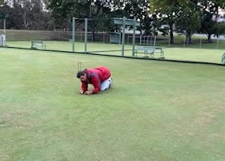 Rino investigates mysterious ant mounds on the lawns