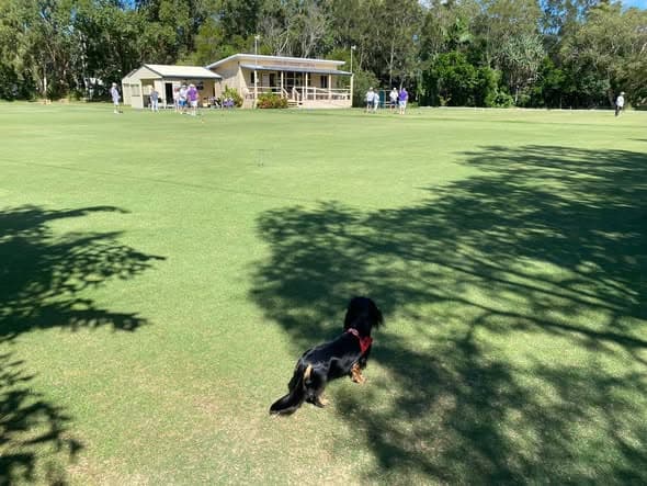 Roly oversees a pleasant morning at Gem Life