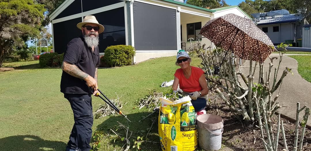 Working bee gardeners give hibiscus new lease of life
