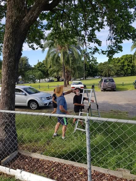 Tree trimming working bee a success