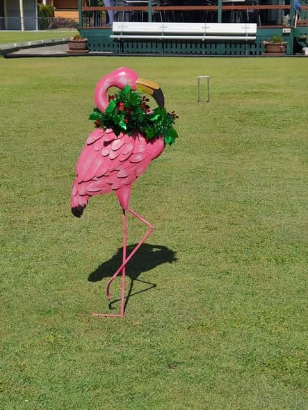 Wynnum Christmas party and trophy presentation