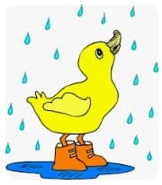 Too wet for croquet at Gracemere