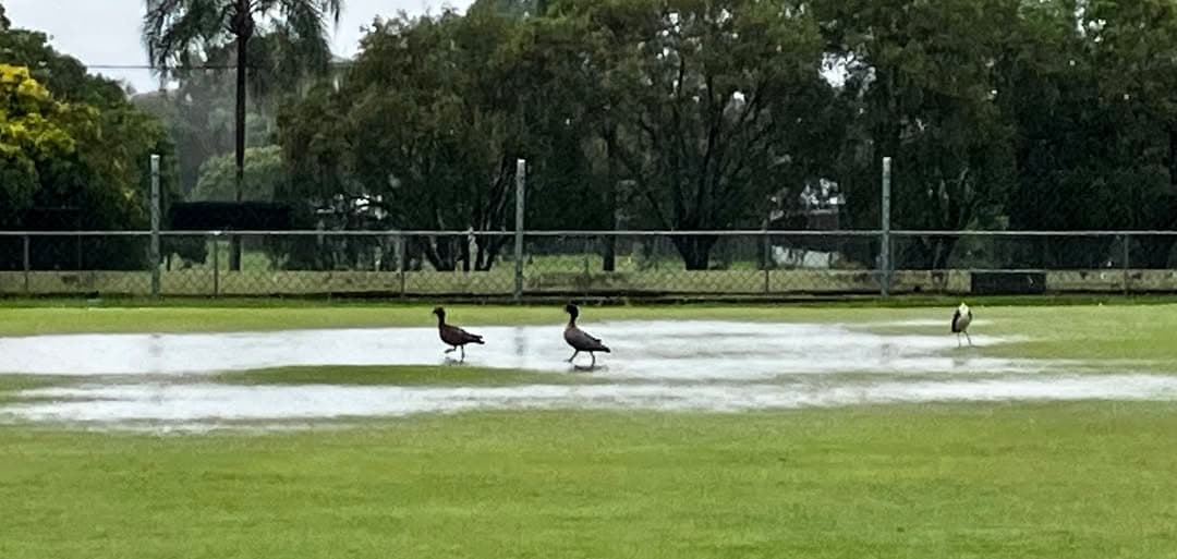 Rain delays play at Stephens