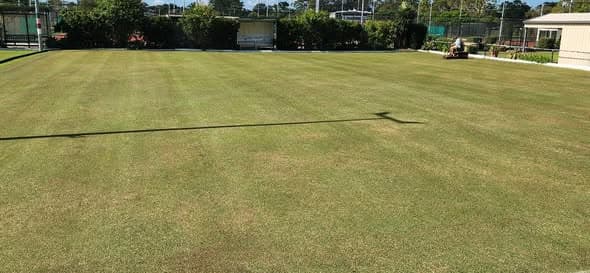 Wynnum courts scarified, mown and rolled