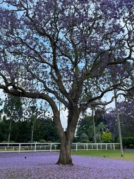 Spring photos from Laurel Bank