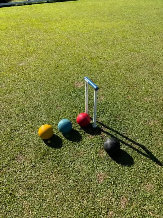 Rare precision croquet in Peter Nicholson Bucket final