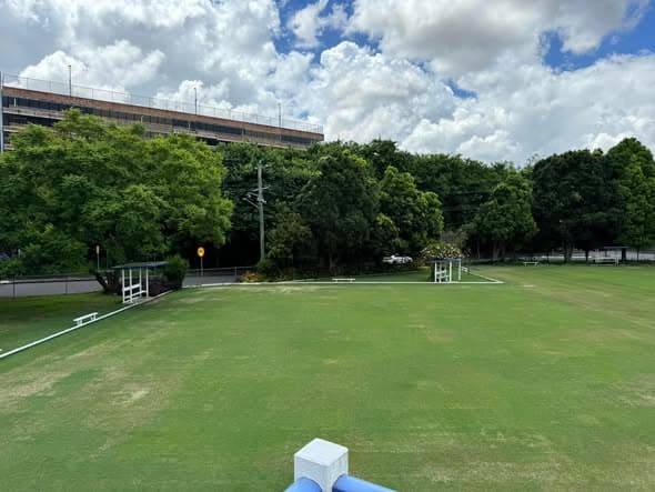 Day 12 update: lawns looking fantastic