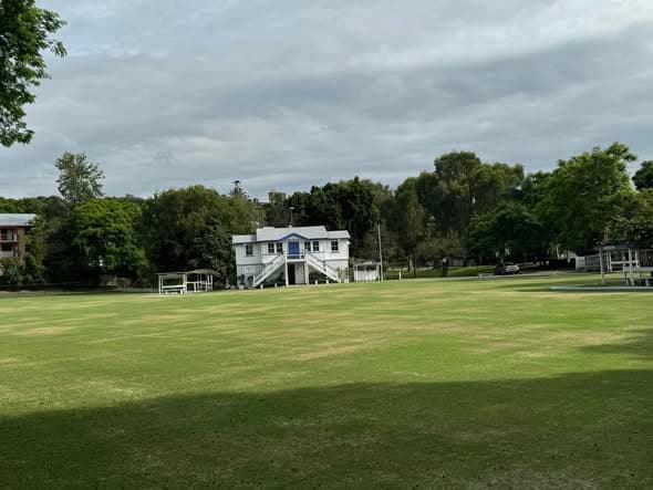Lawn maintenance day 8: lawns recovering well