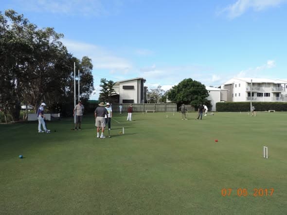 Possum found alive in termite nest at Coolum croquet club