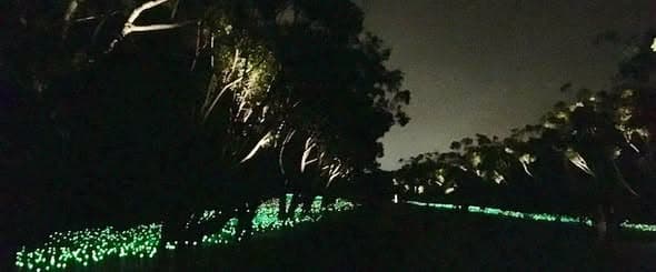 Stephens club hosts water station at ANZAC service