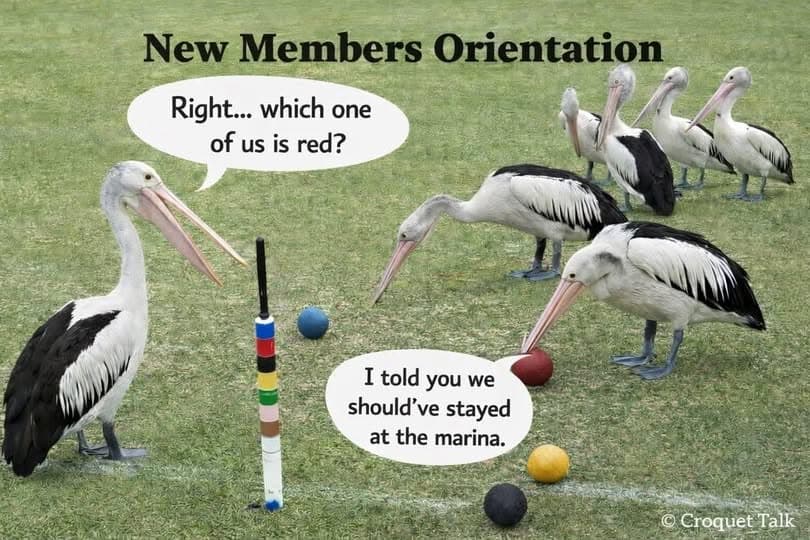 Three free croquet lessons at Coolum