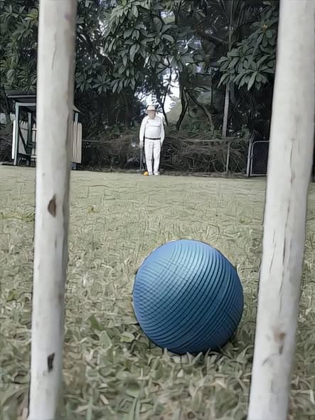 Impromptu interclub social with Graceville guests