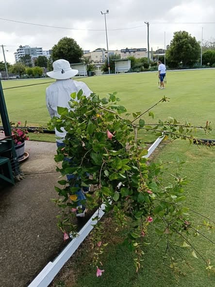 Thirteen Wynnum members clear a skip and trailer of greenery at working bee