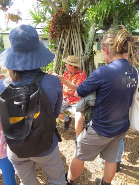 Jerry Coleby-Williams Opens Garden Near Wynnum Croquet Club