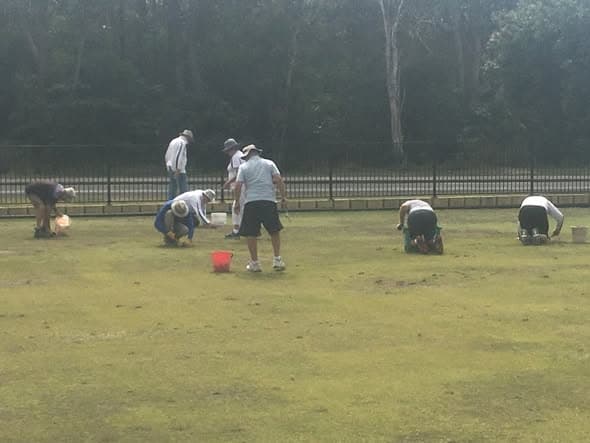 Thanks to helpers at Caloundra weeding working bee