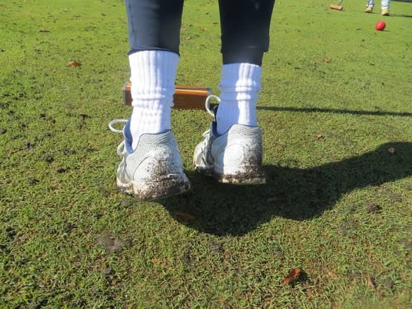 The hidden challenge of worm castings on croquet lawns