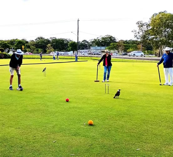 Magpies keep a close eye on the game