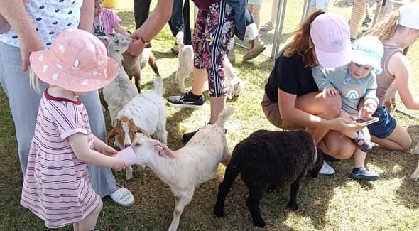 Wynnum Croquet Club promotes new game and enjoys Manly Spring Festival