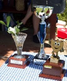 Lismore reborn with the Bill Clifton Memorial Trophy
