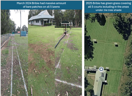 Bribie prepares for awards, seniors morning tea and court renovations